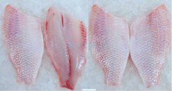 Vietnam Frozen Red Tilapia Fillet Skin On after filleting