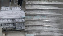 Vietnam Frozen Ribbon Fish Fillet after IQF freezing process