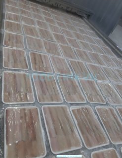 Vietnam Frozen Ribbon Fish Portion And Steak on IQF freezing line