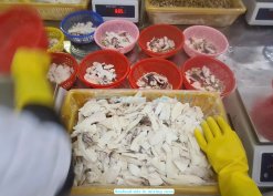 Worker Processing Frozen Seafood Mix From Vietnam