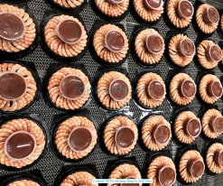 Vietnam Frozen Shrimp Ring With And Without Sauce Cooked PDTO Shrimp on IQF Conveyor
