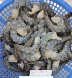 Vietnam Frozen Shrimp Ring With And Without Sauce Raw PDTO Shrimp Before IQF Processing