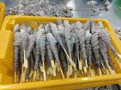 Vietnam Frozen Skewer Poulp Squid Prepared Before IQF Freezing