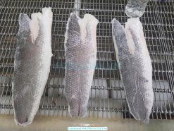 Vietnam Frozen Snakehead Fish Fillet after IQF freezing process