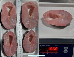 Vietnam Frozen Snakehead Fish Steak before IQF freezing process