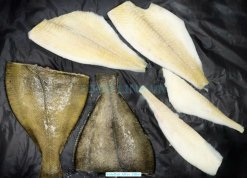 Frozen Sole Fish fillet produced in Vietnam
