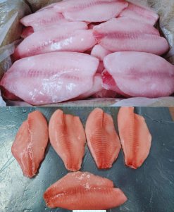 Vietnam Frozen Tilapia Fillet Deep Skinned packed after IQF freezing