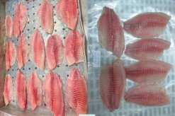 Vietnam Frozen Tilapia Fillet Shallow Skinned after IQF freezing