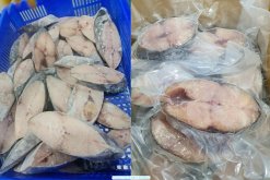 Vietnam Frozen Wahoo Steak vacuum packed after IQF freezing