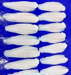 Vietnam Frozen Pangasius Fillet Well Trimmed Pre-Freezing Stage