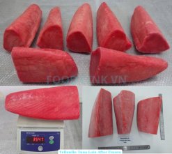 Vietnam Frozen Yellowfin Tuna Loin After IQF Freezing