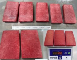 Vietnam Frozen Yellowfin Tuna Saku After IQF Freezing