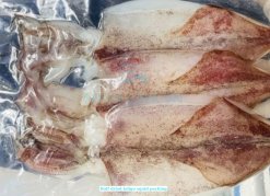 Half dried Loligo Squid skin on vacuum packed in Vietnam
