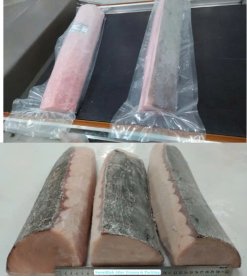 Vietnam Frozen Swordfish Loin And Chunk vacuum-packed after IQF