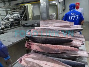 Yellowfin tuna loin after precision cutting