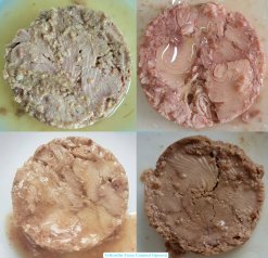 Canned Tuna quality inspection before sealing in Vietnam