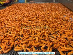Frozen Cooked HOSO Vannamei Shrimp on IQF Line in Vietnam
