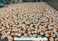 Frozen Cooked PDTO Vannamei Shrimp on IQF Line – Vietnam Factory