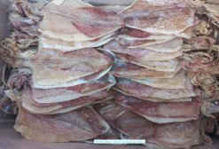 Dried Loligo Squid skin-on packed for export from Vietnam
