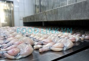 Frozen frog legs after IQF process with quality inspection