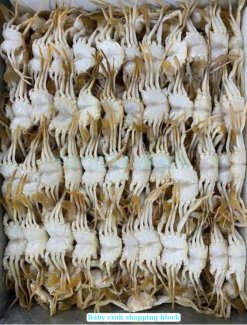 Frozen Baby Crab block frozen and ready for export from Vietnam
