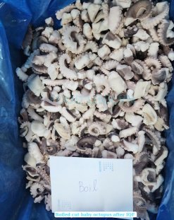 Vietnam Frozen Boiled Baby Octopus Cut Frozen State