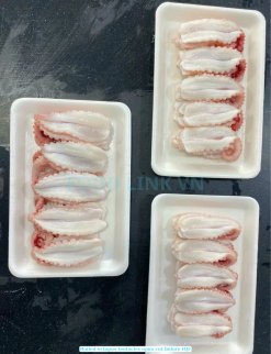 Frozen Boiled Octopus Tentacles Open Cut Sushi Pre-IQF Stage in Vietnam