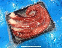 IQF Frozen Cooked Giant Octopus Tentacles Finished in Vietnam