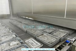 Vietnam Frozen Raw PDTO Butterfly Black Tiger Shrimp on IQF Conveyor Line