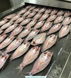 Vietnam Frozen Butterfly Pangasius on IQF Freezing Line