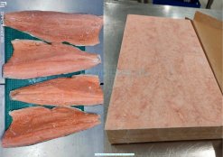 Frozen Chum Salmon IQF and block packed in cartons from Vietnam