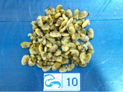 Vietnam Frozen Cooked Yellow Clam Meat after IQF freezing