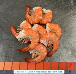 Frozen Cooked HLSO and HLSO EZP Vannamei Shrimp Before IQF Freezing in Vietnam