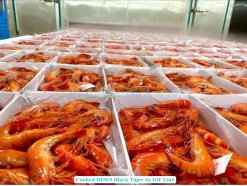 Vietnam Frozen Cooked HOSO Black Tiger Shrimp on IQF Freezer Line
