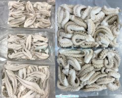 Frozen Cut Baby Octopus After IQF Freezing in Vietnam Factory