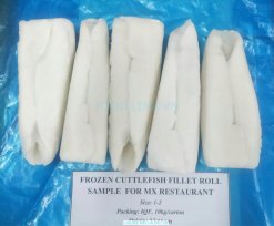 Vietnam Frozen Cuttlefish Fillet Roll After IQF Freezing