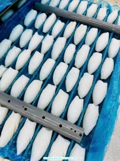 Vietnam Frozen Cuttlefish Fillet Pine Tree Cut After IQF Processing