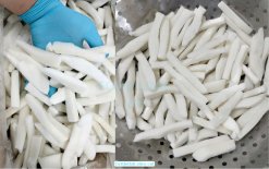 Vietnam Frozen Cuttlefish Slice Cut After IQF Freezing