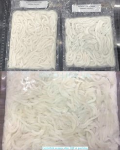 Vietnam Frozen Cuttlefish Somen After Quick Freezing
