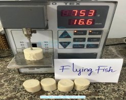 Checking GS (gel strength) of Vietnam Frozen Flying Fish Surimi