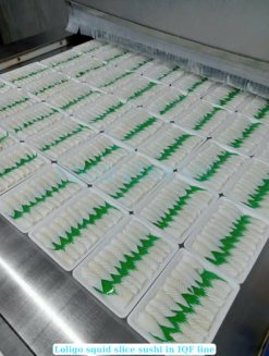 Vietnam Frozen Grilled Loligo Squid Fillet Slice Sushi on IQF Freezing Conveyor