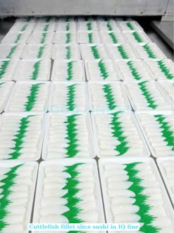 Vietnam Frozen Grilled Cuttlefish Fillet Sushi on IQF Freezing Line
