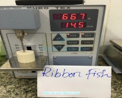 GS Test on Vietnam Frozen Hairtail Surimi for Elasticity