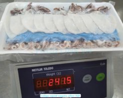 Vietnam Frozen Loligo Squid Sugata Sushi weight check before packing