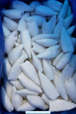 Vietnam Frozen Whole Clean Loligo Squid Tube Packed in Bulk Cartons