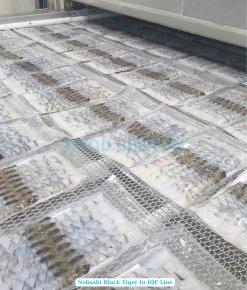 Vietnam Frozen Nobashi Black Tiger Shrimp on IQF Conveyor Line