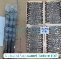 Frozen Nobashi Vannamei Shrimp After IQF Freezing in Vietnam Seafood Facility