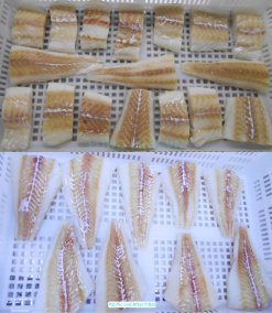 Frozen Atlantic And Pacific Cod after IQF freezing produced in Vietnam