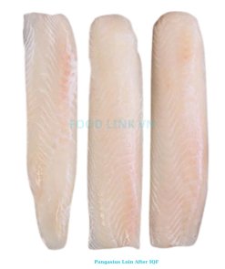 Frozen Pangasius Loin After IQF Processing in Vietnam (1)