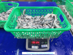 Vietnam Frozen Pangasius Skin (Swai Fish) During Processing Stage